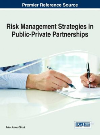 Kniha Risk Management Strategies in Public-Private Partnerships PETER ADOKO OBICCI