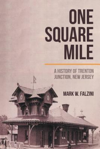 Книга One Square Mile Mark W Falzini