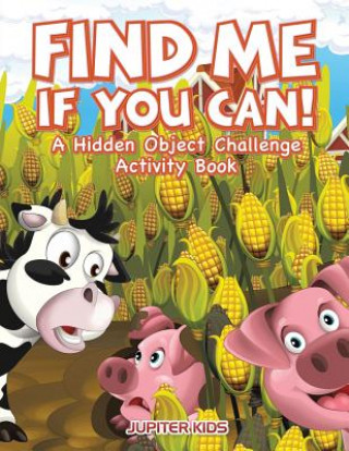 Kniha Find Me If You Can! A Hidden Object Challenge Activity Book JUPITER KIDS