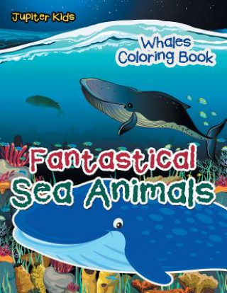 Buch Fantastical Sea Animals JUPITER KIDS