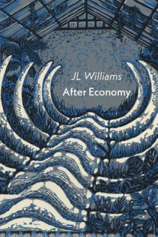 Kniha After Economy J. L. Williams