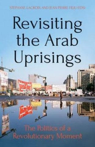 Kniha Revisiting The Arab Uprisings Stephane Lacroix