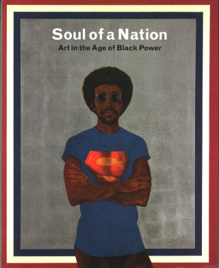 Kniha Soul of a Nation MARK  ED GODFREY
