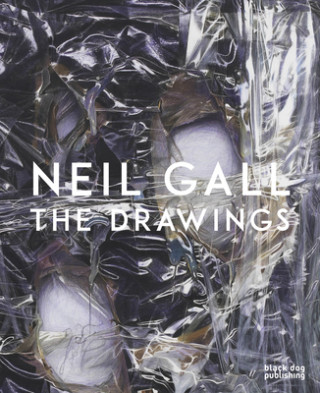 Kniha Neil Gall David Nolan