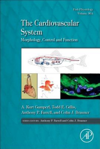 Knjiga Cardiovascular System Kurt A. Gamperl