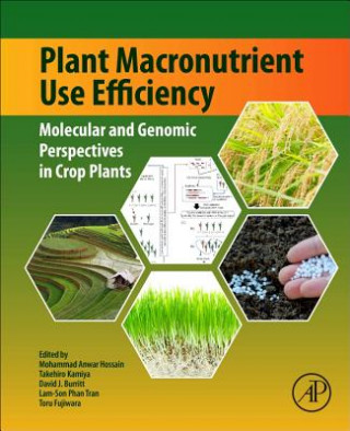 Βιβλίο Plant Macronutrient Use Efficiency Mohammad Anwar Hossain