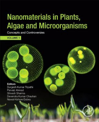 Książka Nanomaterials in Plants, Algae, and Microorganisms Parvaiz Ahmad