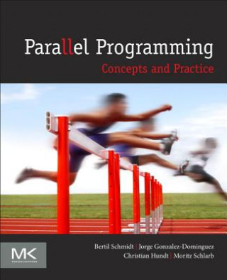 Könyv Parallel Programming Bertil Schmidt