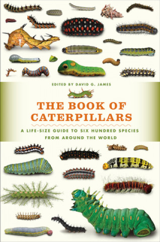 Könyv The Book of Caterpillars: A Life-Size Guide to Six Hundred Species from Around the World David W. James