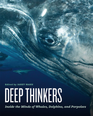 Könyv Deep Thinkers: Inside the Minds of Whales, Dolphins, and Porpoises Janet Mann