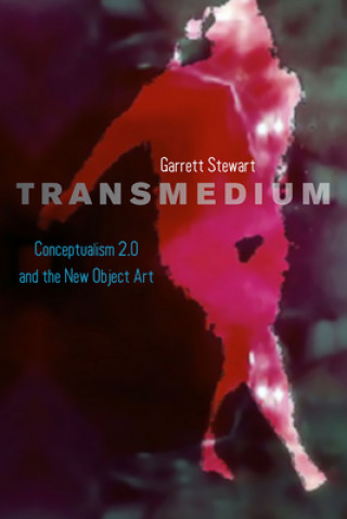 Buch Transmedium Garrett Stewart