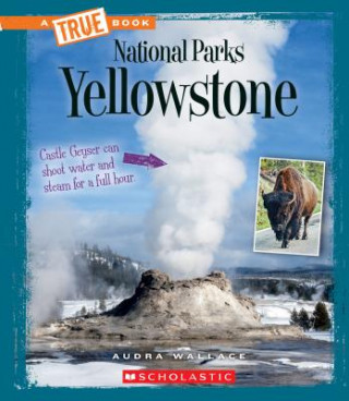 Kniha Yellowstone (a True Book: National Parks) Audra Wallace