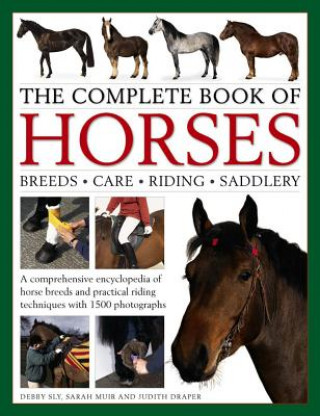Książka Complete Book of Horses Debby Sly