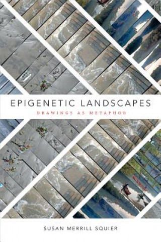 Book Epigenetic Landscapes Susan Merrill Squier