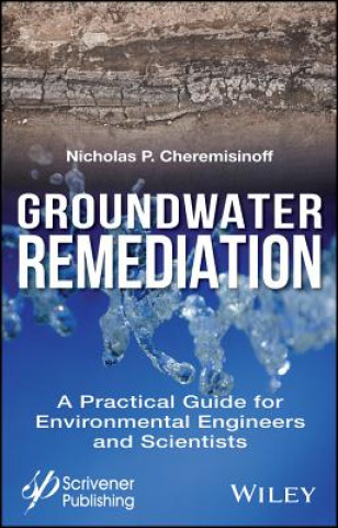 Kniha Groundwater Remediation Nicholas P. Cheremisinoff