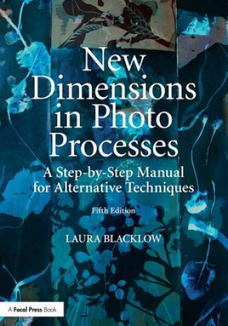 Kniha New Dimensions in Photo Processes Laura Blacklow