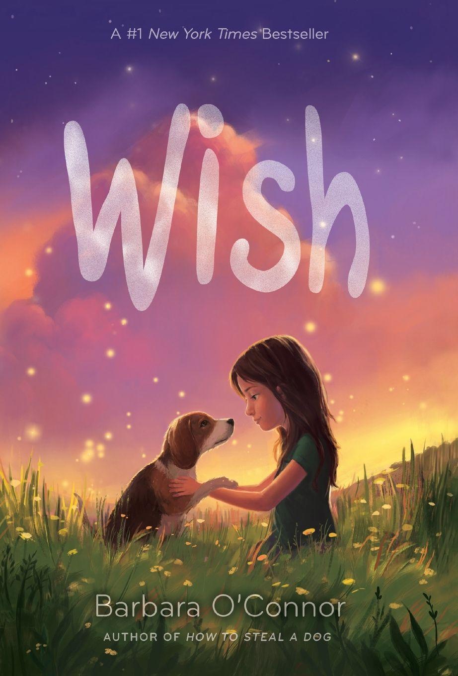 Book Wish Barbara O'Connor
