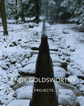 Kniha Andy Goldsworthy: Projects Andy Goldsworthy