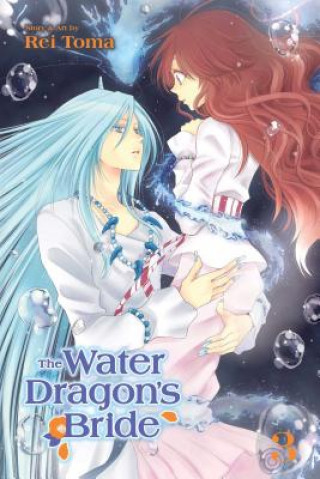 Knjiga Water Dragon's Bride, Vol. 3 Rei Toma