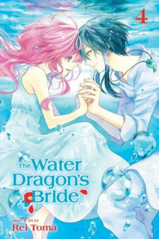 Book Water Dragon's Bride, Vol. 4 Rei Toma