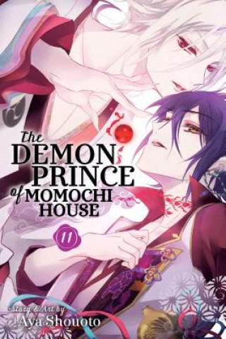 Könyv Demon Prince of Momochi House, Vol. 11 Aya Shouoto