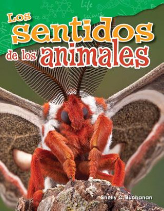 Książka Los Sentidos de Los Animales (Animal Senses) Shelly Buchanan