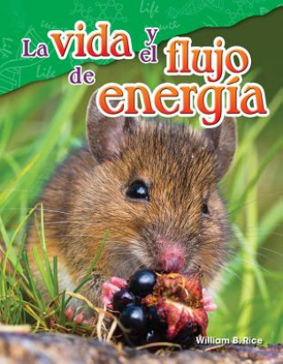 Kniha La Vida Y El Flujo de Energía (Life and the Flow of Energy) William Rice
