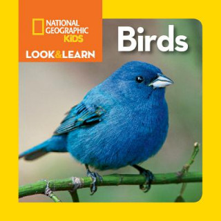 Kniha Look and Learn: Birds National Geographic Kids