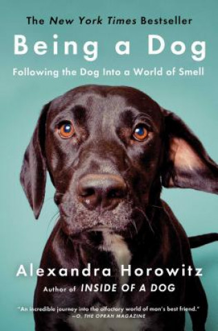 Könyv Being a Dog: Following the Dog Into a World of Smell Alexandra Horowitz