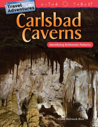 Knjiga Travel Adventures: Carlsbad Caverns: Identifying Arithmetic Patterns Dona Rice