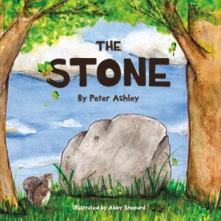 Kniha Stone Peter Ashley