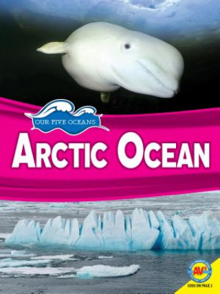 Carte ARCTIC OCEAN Samantha Nugent