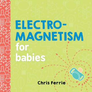 Könyv Electromagnetism for Babies Chris Ferrie