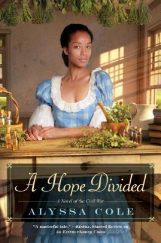 Kniha Hope Divided Alyssa Cole