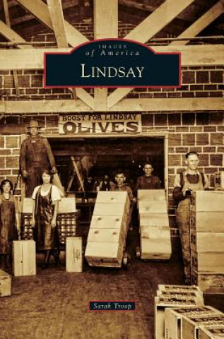 Libro LINDSAY Sarah Troop