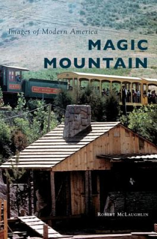Book MAGIC MOUNTAIN Robert McLaughlin