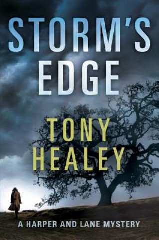 Kniha Storm's Edge Tony Healey