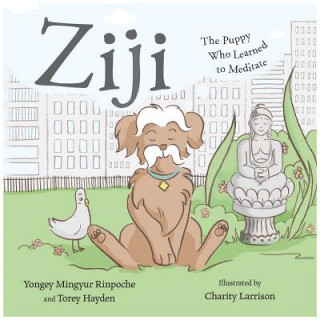 Könyv Ziji Yongey Mingyur