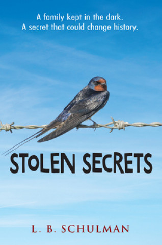 Kniha Stolen Secrets L. B. Schulman
