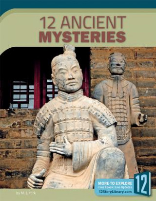 Книга 12 ANCIENT MYSTERIES M. J. York
