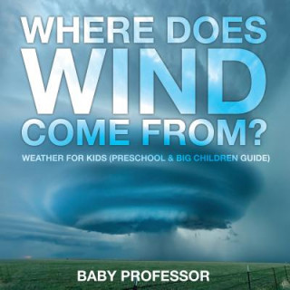 Buch Where Does Wind Come from? Weather for Kids (Preschool & Big Children Guide) Baby Professor