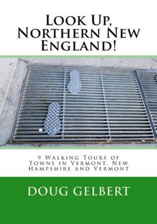 Book LOOK UP NORTHERN NEW ENGLAND Doug Gelbert