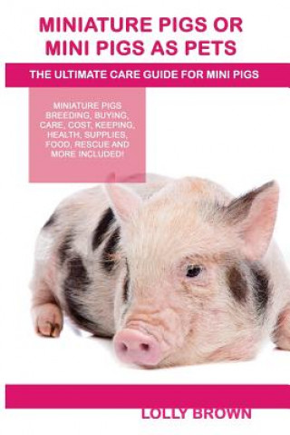 Könyv MINIATURE PIGS OR MINI PIGS AS Lolly Brown