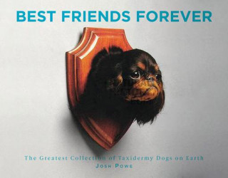 Knjiga Best Friends Forever: The Greatest Collection of Taxidermy Dogs on Earth J. D. Powe