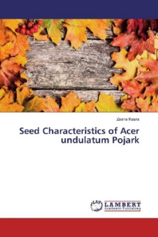 Carte Seed Characteristics of Acer undulatum Pojark Zeena Kasra