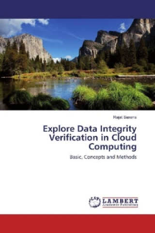 Kniha Explore Data Integrity Verification in Cloud Computing Rajat Saxena