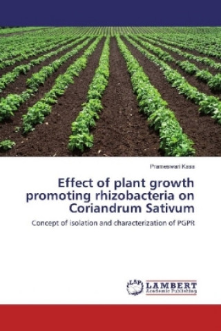 Könyv Effect of plant growth promoting rhizobacteria on Coriandrum Sativum Prameswari Kasa