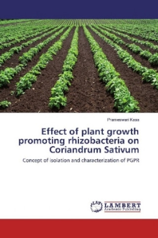 Libro Effect of plant growth promoting rhizobacteria on Coriandrum Sativum Prameswari Kasa