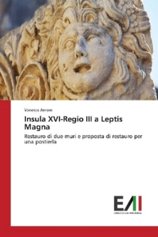 Książka Insula XVI-Regio III a Leptis Magna Vanessa Amore