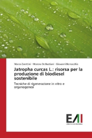 Книга Jatropha curcas L.: risorsa per la produzione di biodiesel sostenibile Marco Zarattini